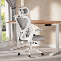 Oslo  Ergonomik Çalışma Sandalyesi