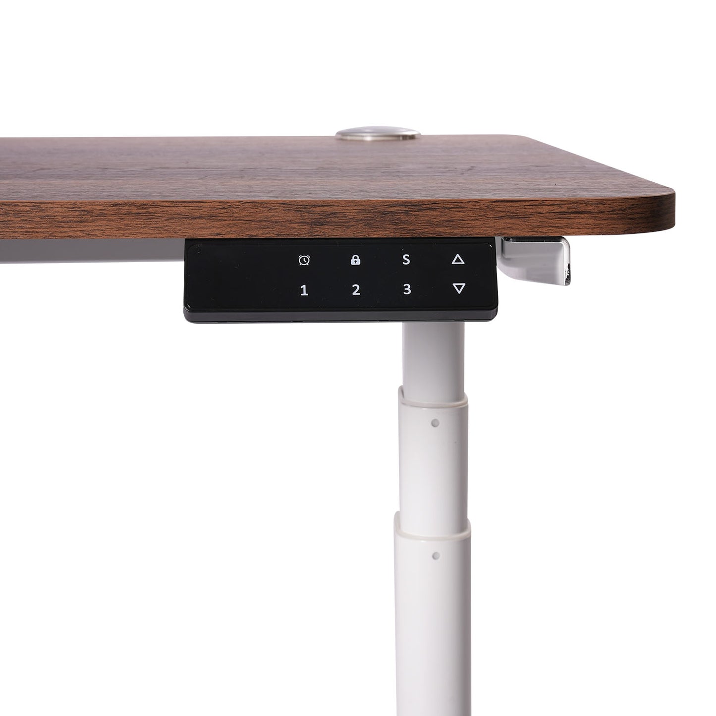 O-Flex Duo Oval Ayak Çift Motorlu Elektrikli Yükseklik Ayarlı Masa