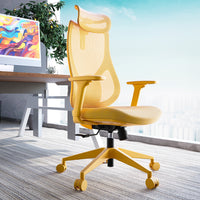 Rio Ergonomik Çalışma Sandalyesi