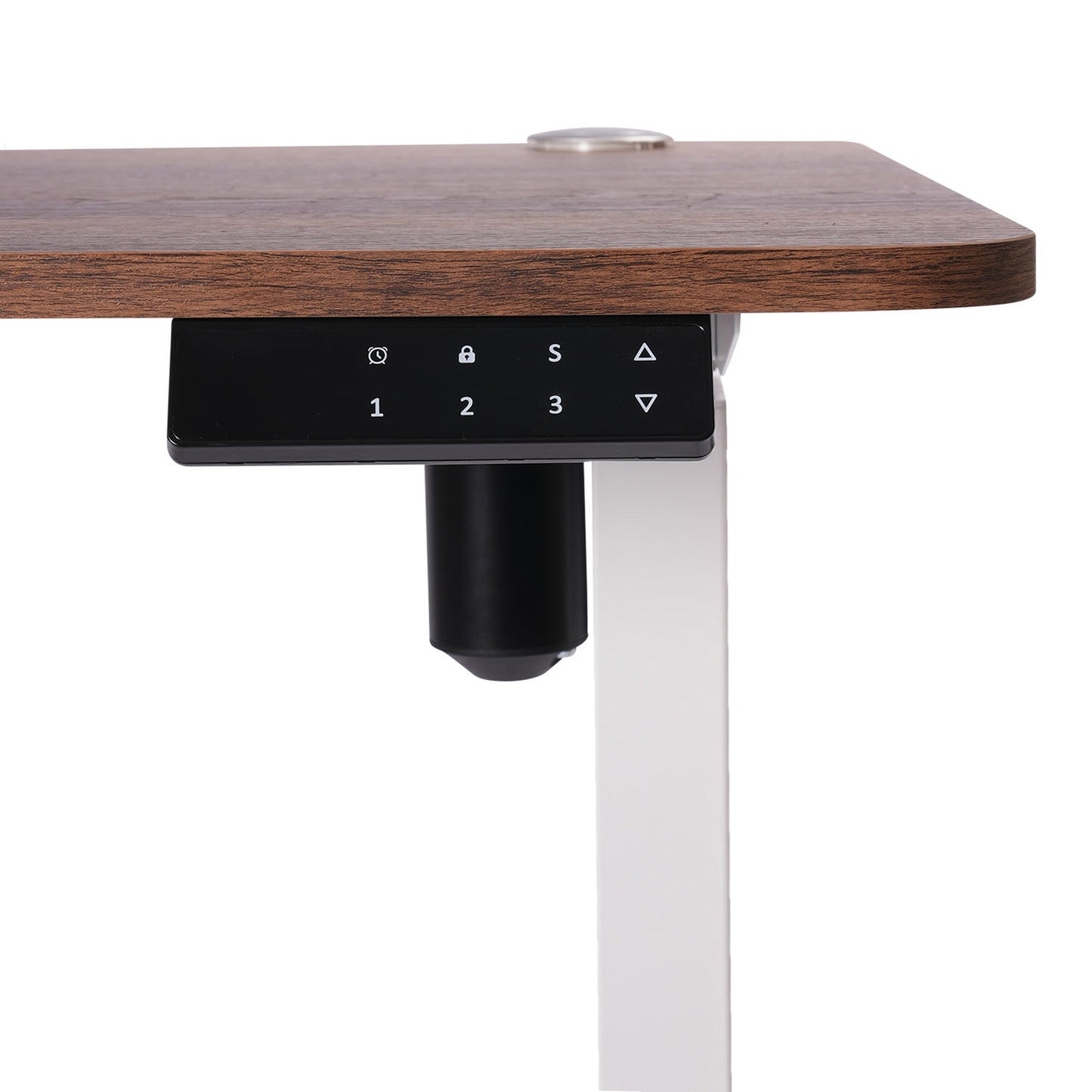 O-Flex Tek Motorlu Elektrikli Yükseklik Ayarlı Masa