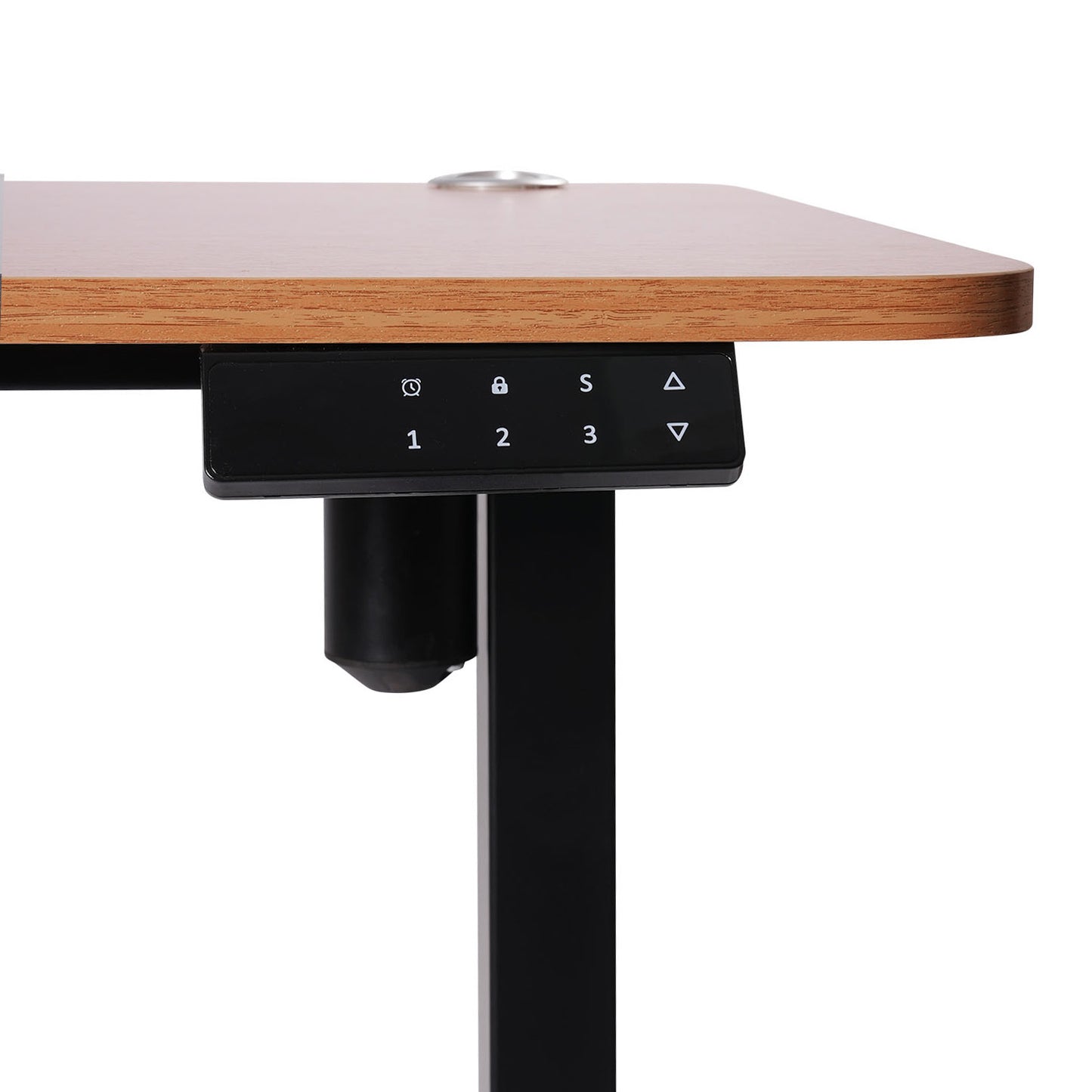 O-Flex Single Motor Electric Height Adjustable Table