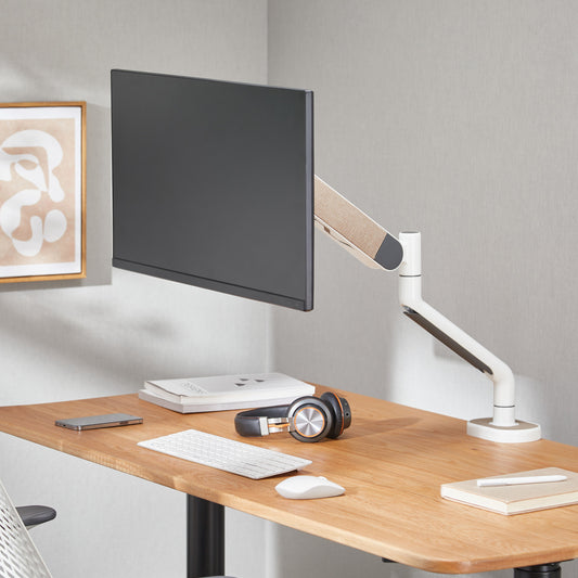 Deskmate X01 Tekli Monitör Kolu