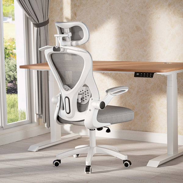 Oslo Ergonomik Çalışma Sandalyesi