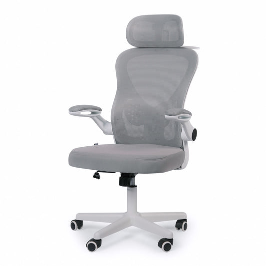 Oslo  Ergonomik Çalışma Sandalyesi