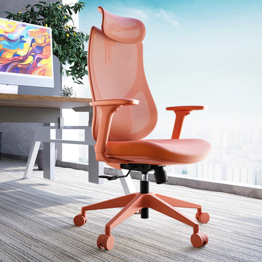 Rio Ergonomik Çalışma Sandalyesi