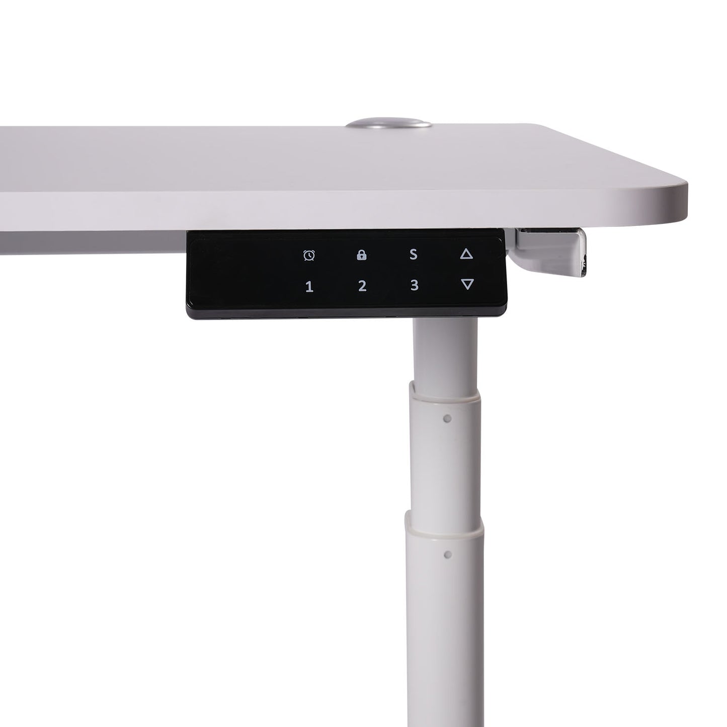 O-Flex Duo Oval Ayak Çift Motorlu Elektrikli Yükseklik Ayarlı Masa