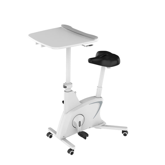 Ergomax E40 Bike Desk