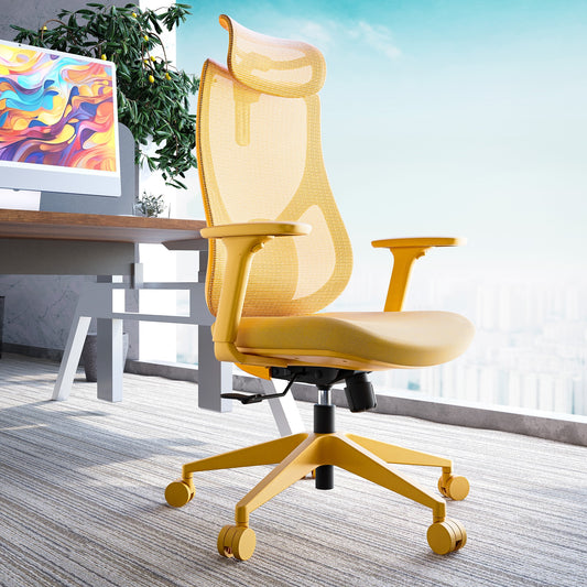 Rio Ergonomik Çalışma Sandalyesi