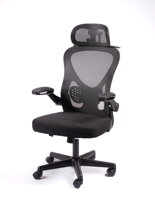 Oslo  Ergonomik Çalışma Sandalyesi