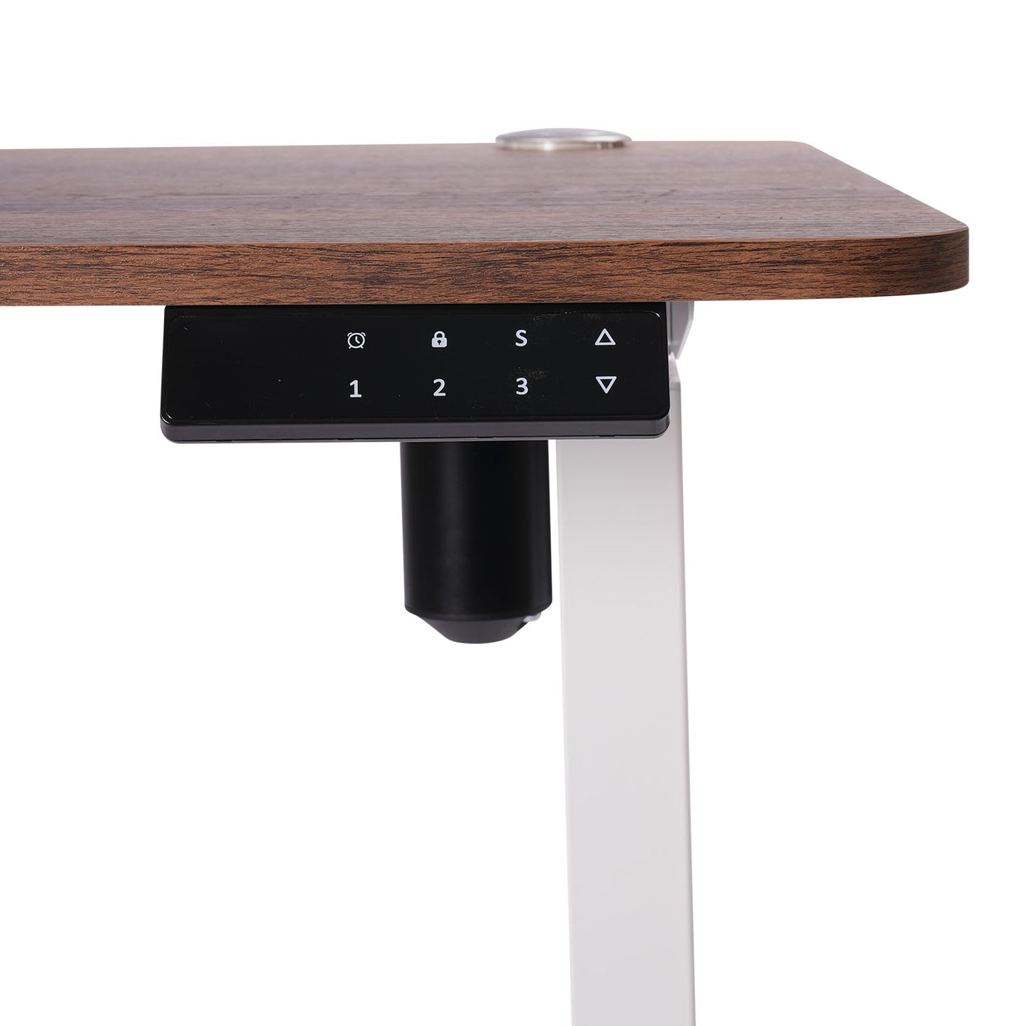 O-Flex Tek Motorlu Elektrikli Yükseklik Ayarlı Masa