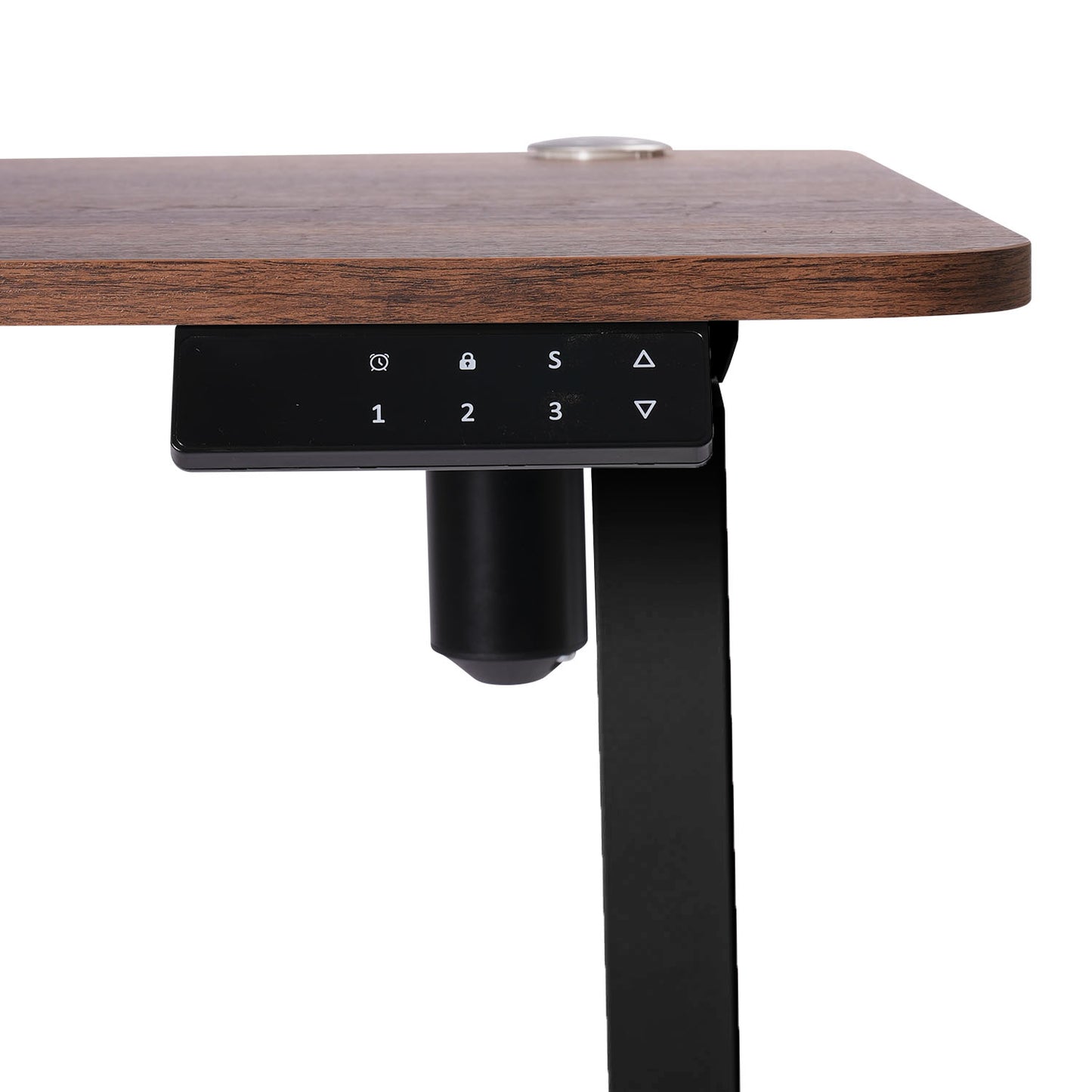 O-Flex Single Motor Electric Height Adjustable Table